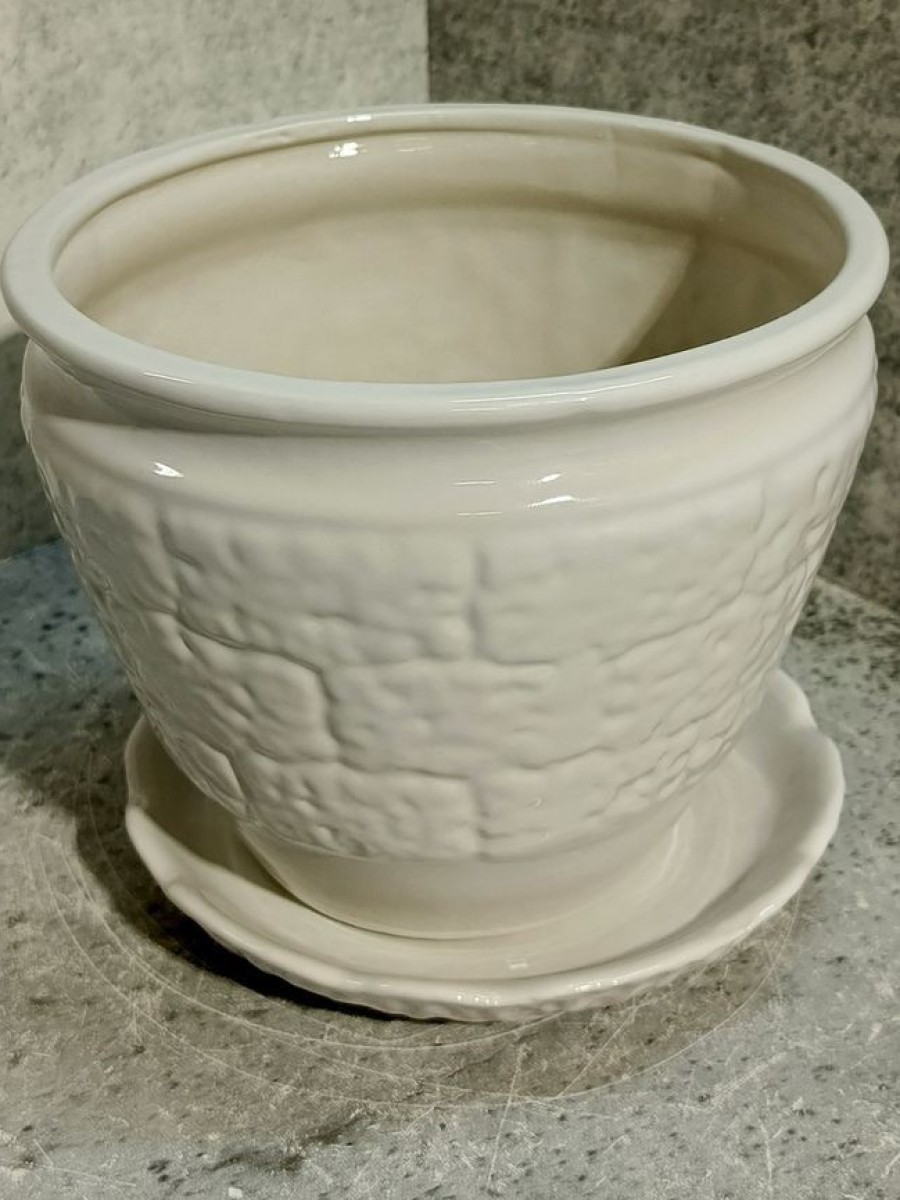 Цв. "Дикий камень " 2 в.